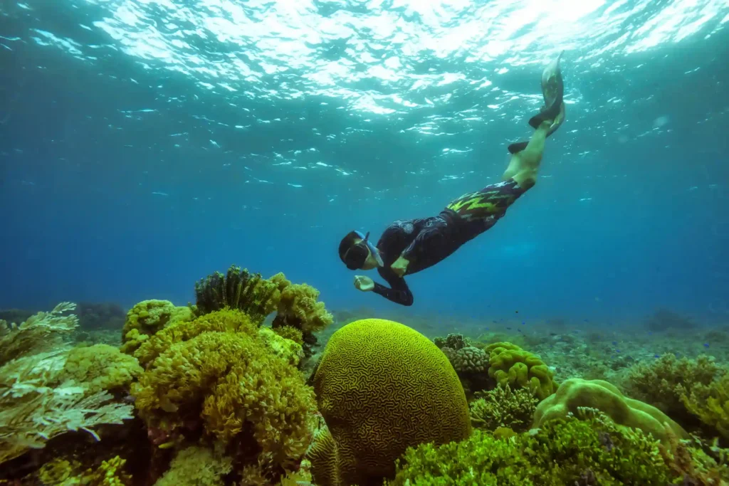 Snorkeling | Bali Premium Villa