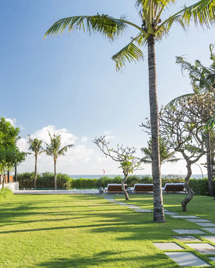 Tropical garden with palm trees and pool